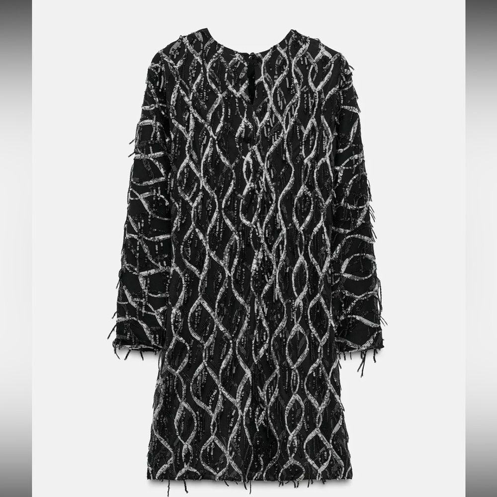 ZARA MINI DRESS WITH FRINGING AND SEQUINS - Picture 10 of 16